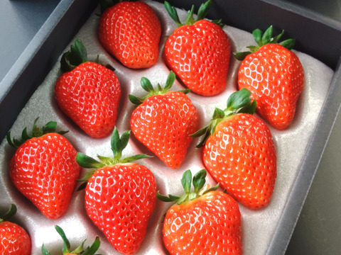 mikaberryのいちごBOX