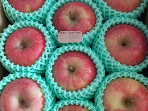 ☆化学農薬不使用☆サンふじ８〜１２玉