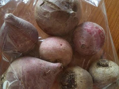 【農薬・化学肥料不使用】自然農法で育ったビーツ　1kg