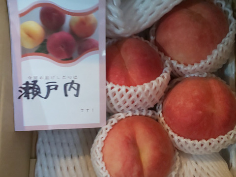 運命の出会い⁉️【67品種の桃を栽培】品種は何が届くかお楽しみ！白桃3㎏【夏ギフト】