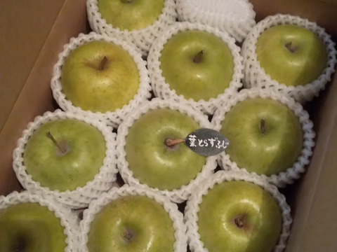 🍏芳醇な香り【王林】🍏１０～１２玉 約３キロ  （家庭用）商品ID118229