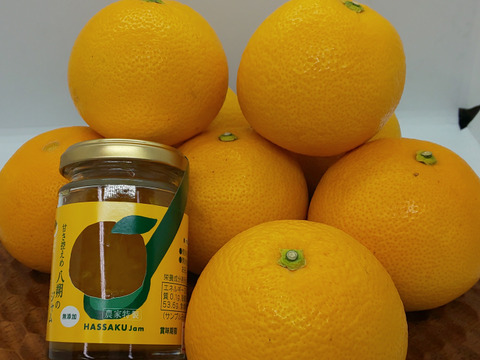 面倒な皮むき無し オレンジカットで食べられる八朔約2 5k8玉入りおまけ八朔ジャム付き 手むきのぜいたく果肉のみ使用したジャムになります 奈良県産 食べチョク 農家 漁師の産直ネット通販 旬の食材を生産者直送