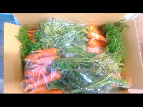 葉つき人参1.4kg位、農薬化学肥料除草剤不使用：神奈川県産のその他