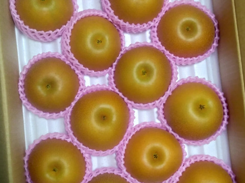 昨年大好評！『清流球磨梨』あきづき　約10kg【5kg箱(5〜14個入り)を2箱重ねてお届け】