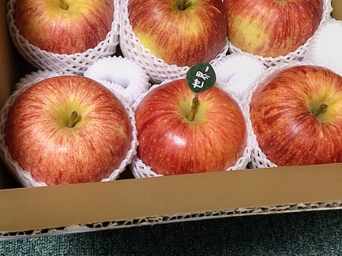 🍎希少品種🍎世界一約3キロ 6～7玉入り 青森りんごID168643
