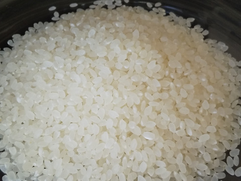【好評販売中】生産農家の「まかない白飯」▶白米5kg◀ 一回食べてみて下さい。