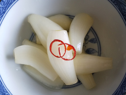 【希少・新鮮！】熊本県産 2年ものらっきょう 10kg 農薬を使わず栽培しました 希少・新鮮！】熊本県産 2年ものらっきょう 10kg 農薬を使わず