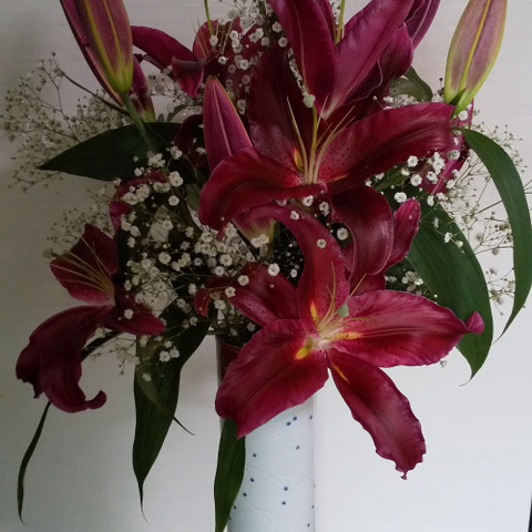 ユリ⭐︎様 直前!】FLCのオリエンタルユリ ピンク系(ロビナなど)3L4〜5F【FJ