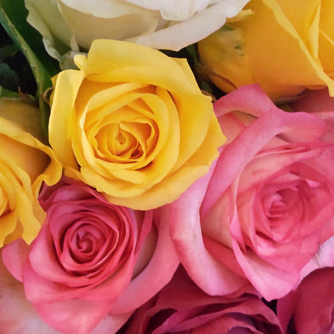 鴨居玲 花 バラ 薔薇 鑑定書なし 寝付く