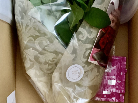 【20本の花束】赤＆ピンク🌹誕生日や結婚記念日のプレゼントに！シンプルラッピング