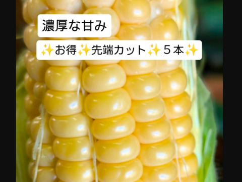 濃厚な甘みの🌽先端カット５本