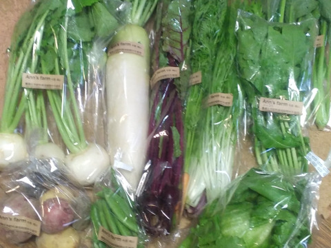 旬の野菜セット大10～12品