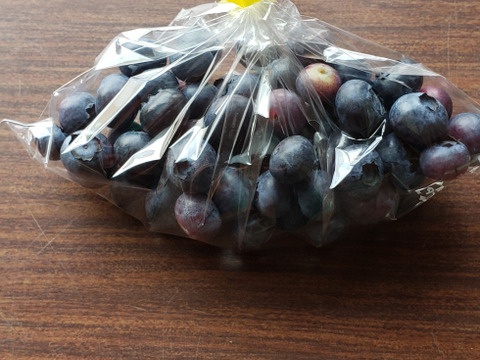 摘みたて　農薬不使用　千葉県産　生ブルーベリー　200g×2パック&B品100g×2袋　600gセット