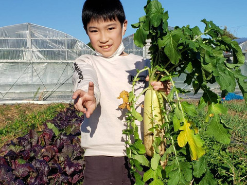 【第六弾】ダンボールに『ぎっしりと!!』 野菜セット♪