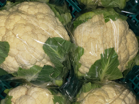 香川県産  甘くてとっても美味しいカリフラワー3株セット