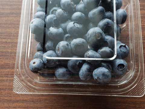 摘みたて　農薬不使用　千葉県産　生ブルーベリー　200g×2パック&B品100g×2袋　600gセット