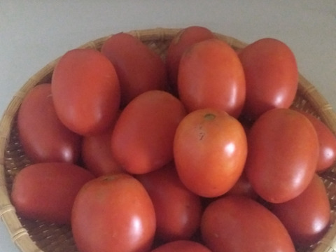 冷凍トマト『サンマルツァーノ』　🍅！1.6㎏（800×2）　在庫限り🙇