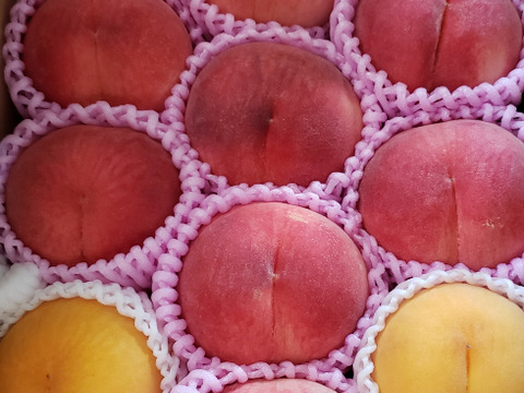 【有機JAS認証の美味しい桃約2kg（第三期）】自然に優しく希少でジューシーな天然桃(6～7個入)！
