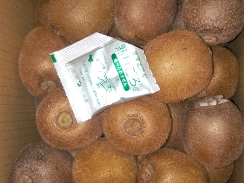 【数量限定・通常品の3割引き！】　　　　　　　ジューシーな果肉！安心安全の“有機JAS認証栽培”和歌山県古果園キウイフルーツ 《規格外品》 【たっぷり 3kg】