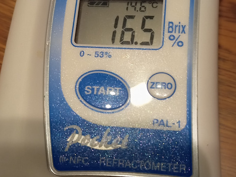 【味に自信あり　3k箱　愛媛のまどんな 　ゼリーのような食感　愛果28号　除草剤使用無 万田酵素散布】