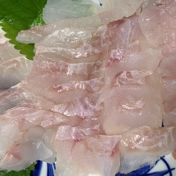 明日朝まで限定 捕れたて 天然ヤズ ブリ 約3キロ 長崎県対馬市 長崎県産 食べチョク 農家 漁師の産直ネット通販 旬の食材を生産者直送