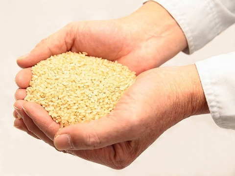 【農薬・肥料不使用】味に自信あり！自然栽培米ハツシモ【10kg】【玄米】【令和4年産】
