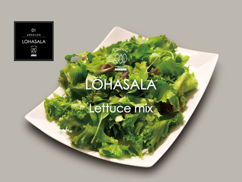 レビュー35件以上!菌数管理栽培野菜 LOHASALA レタスミックス(5個セット×小分け100g) 洗わずに食べられる魅力満載のサスティナブル新野菜☆☆【LED施設栽培野菜】