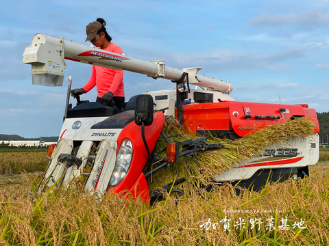 【令和6年産】☆お米番付優秀賞受賞農家☆「農薬・化学肥料不使用」 にこまる 玄米10㎏＜有機JAS認証＞『加賀米野菜基地』