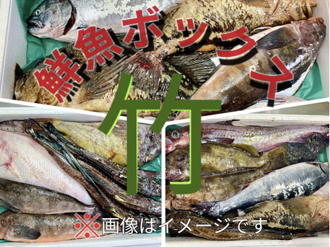 竹コース【年明け発送】船頭にお任せ！鮮魚ボックス（詰め合わせ) 海鮮セット