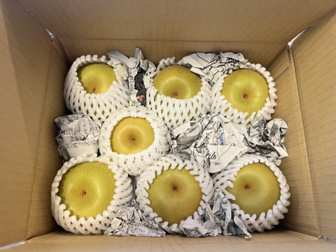 令和8年8月発送【予約】梨 幸水 良品2.2kg‼️ 長野県産