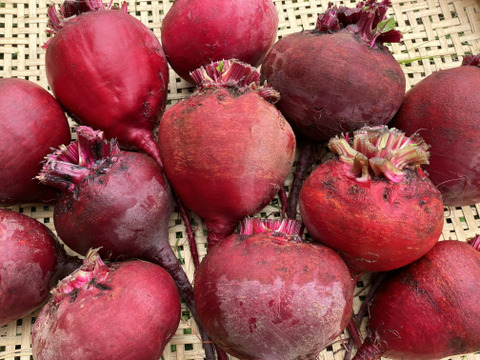 増量中！【北海道産】新じゃが(男爵)2.5㎏＋ビーツ1.8㎏＋インゲン350g！