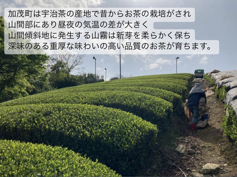 ＊農薬不使用お茶＊ 特上玄米茶　ティーバッグ大容量サイズ　化学肥料・除草剤・畜産堆肥不使用　宇治茶100%
