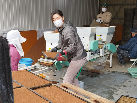 【ひー様専用商品】有機JAS認証　有機ササニシキ分づき精米10㎏