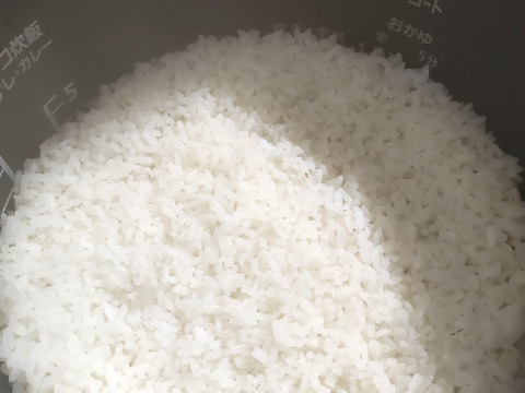 《農薬不使用・肥料除草剤不使用》お日さまたっぷりのお米『日本晴』【白米】3kg・2025年和歌山県産