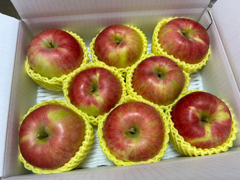 まるせい果樹園のシナノスイート　自家用　贈答用　(6～15玉入り)　玉数指定不可 rs1