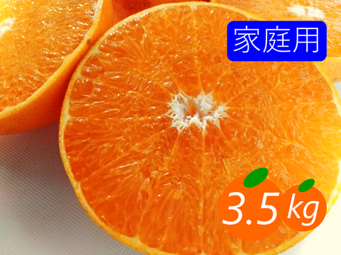 【家庭用】せとか 3.5kg トロ～リ食感！柑橘の大トロ♡高級柑橘♫愛媛みかん！！