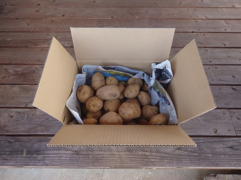 自然栽培　男爵いも　箱込　2ｋｇ
