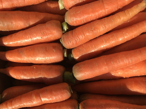 有機雪下にんじん（4㎏）～雪の下で甘くなったにんじんです～