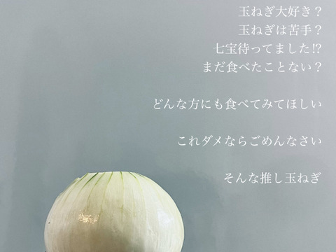 【ひょうご安心ブランド認証☺︎】淡路島　大人気　新玉ねぎ　七宝　5kg 淡路島たまねぎ　白い玉ねぎ　みずみずしい玉ねぎ　甘い