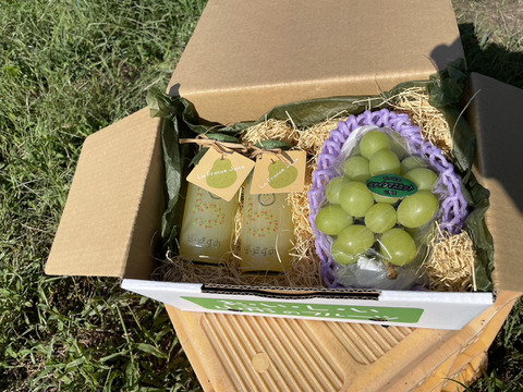 パリパリ食感★シャインマスカット３００ｇ～３５０ｇと自家製ラフランスジュースセット