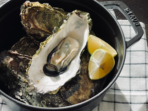 オホーツクサロマ湖産　殻付き牡蠣　厳選３ｋｇ（2年物　加熱用）