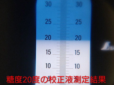 【ヌーベルローズ3房/750g以上】