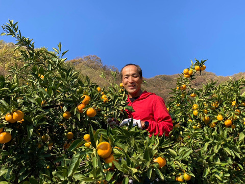 【ミニサイズ限定】完熟大長みかん5kg