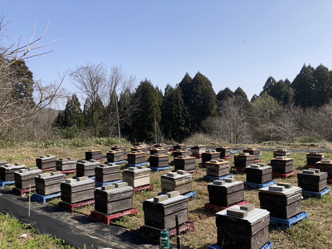 【非加熱･無添加】こだわり国産生はちみつ　タニウツギ　500g