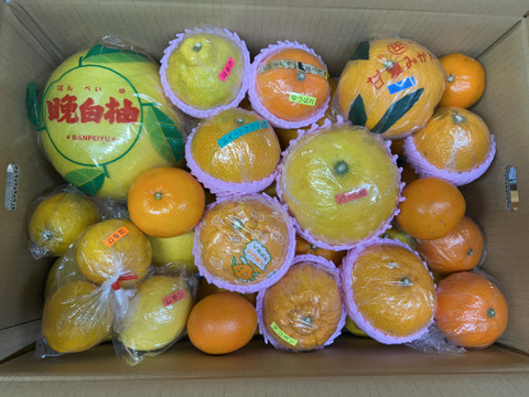 旬の訳ありみかん　9種類！の詰め合わせ　（約12kg）贈答用にも！