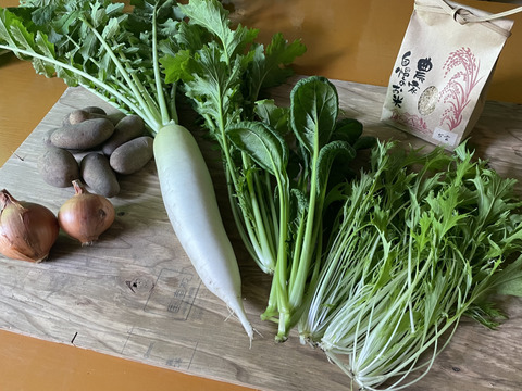 山のミネラルたっぷり！ソノちゃんのこだわり野菜とお米のセット5〜6品種