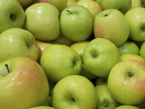 グラニースミス SS小玉ちゃん家庭用含(約2.3㎏）14～16玉
欧米で青りんごといえばこれ　アップルパイにおすすめ
きずや形など家庭用も含めて　バラ詰めかケース詰めでお届け