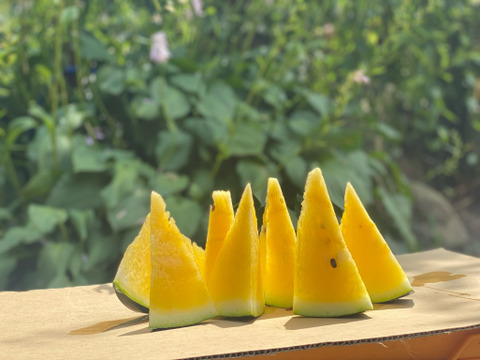 極上甘さ！ サンブラックスイカ🍉