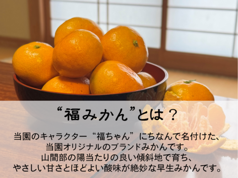 【注いだら最後、止まらない】甘味×酸味が絶妙！福みかんジュース｜愛媛・西宇和産
