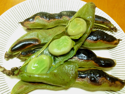 予約受付中【5月中旬より順次出荷】和らぎ農法　そら豆（1袋）